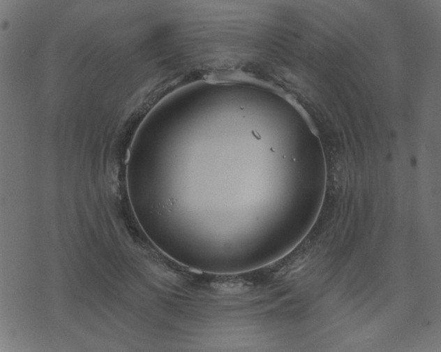 X0000071770693200606301155