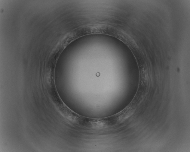 X0000071770698200606301155