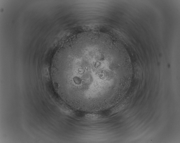 X0000071770699200606301155