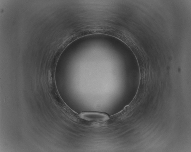 X0000071770700200606301155