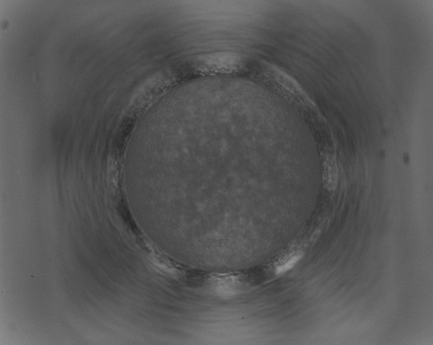 X0000071770701200606301155