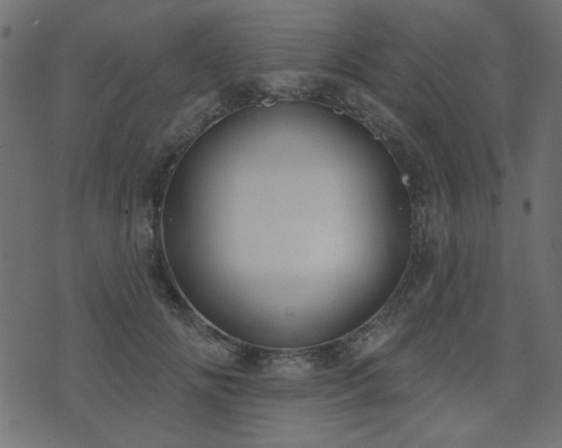 X0000071770702200606301155