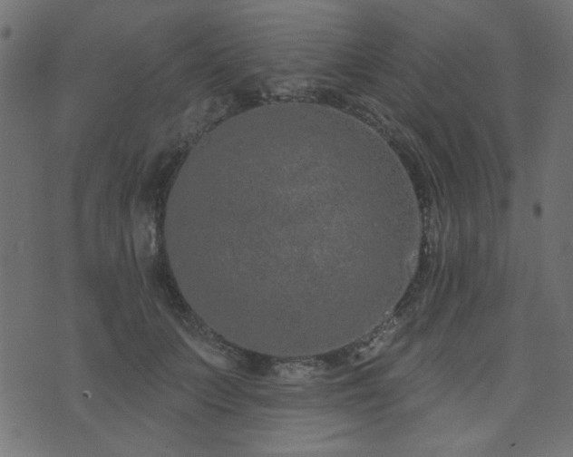 X0000071770703200606301155