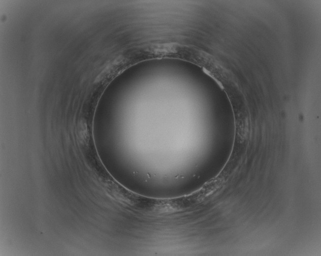 X0000071770704200606301155