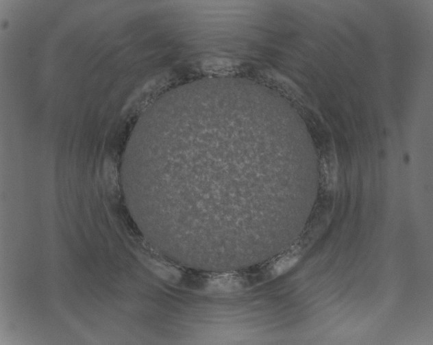 X0000071770705200606301155