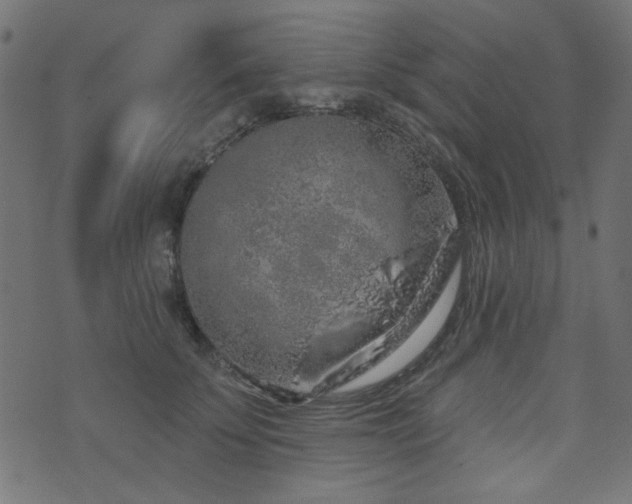 X0000071770707200606301155