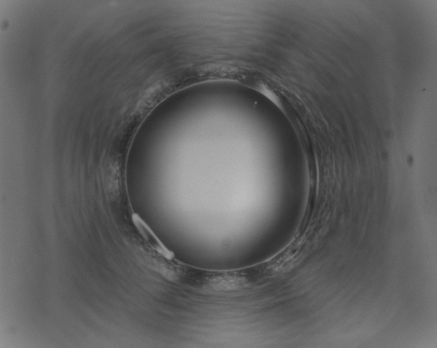 X0000071770708200606301155