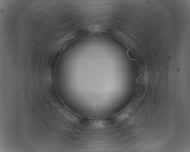 X0000071770710200606301155