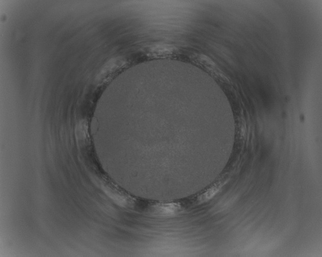 X0000071770711200606301155