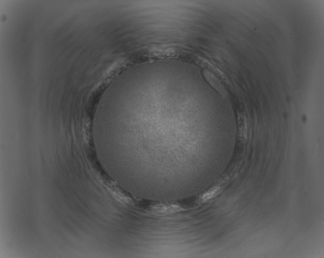 X0000071770712200606301155