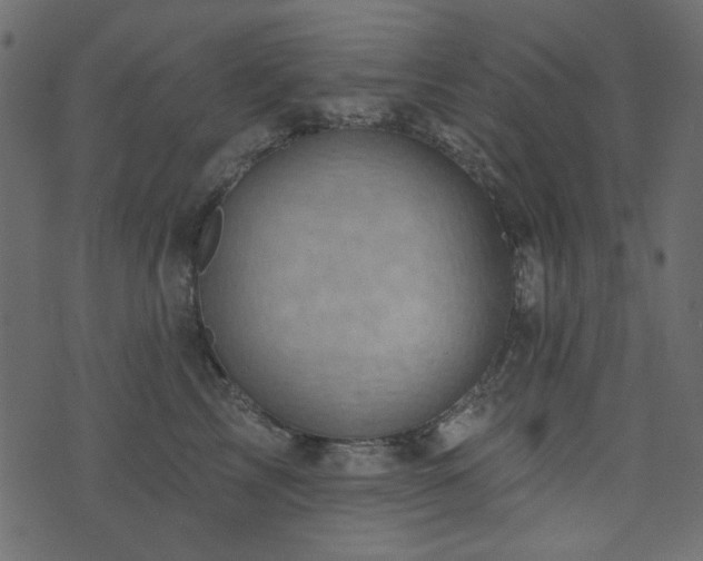 X0000071770713200606301155