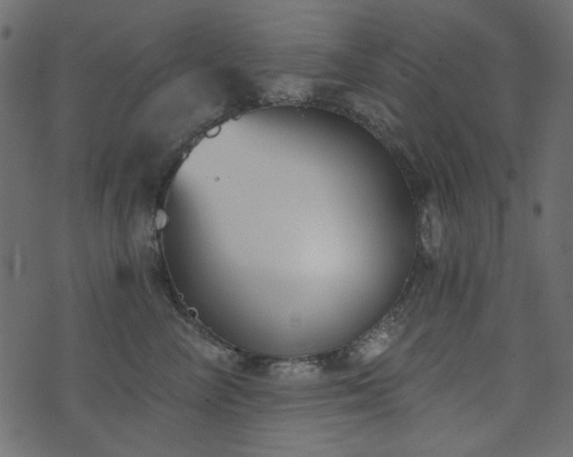 X0000071770714200606301155