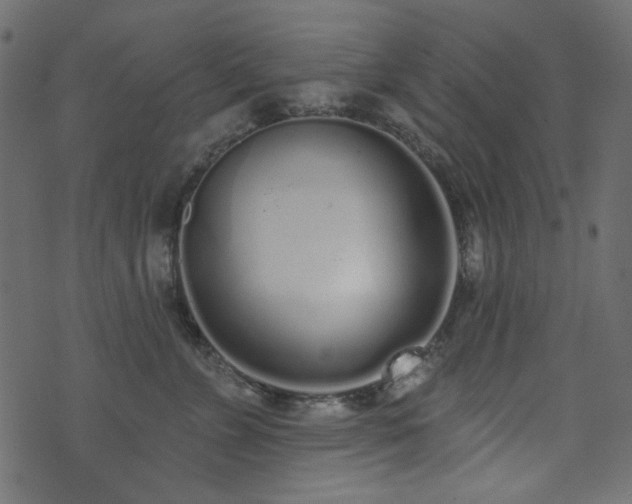 X0000071770715200606301155