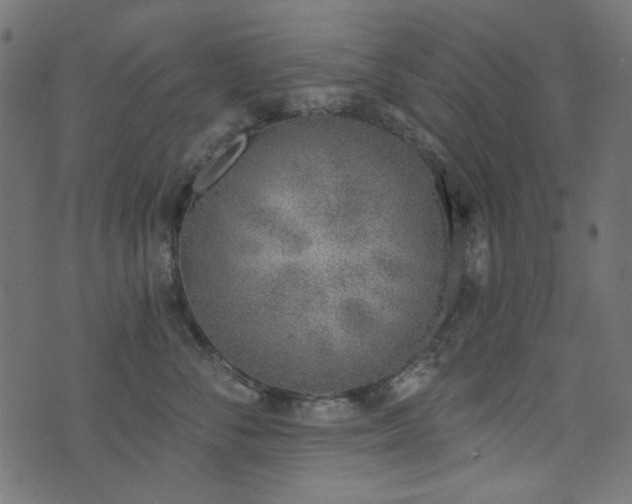 X0000071770716200606301155