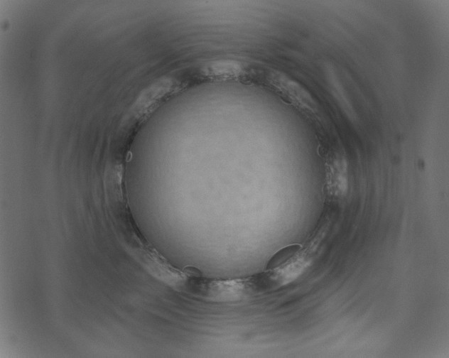 X0000071770717200606301155