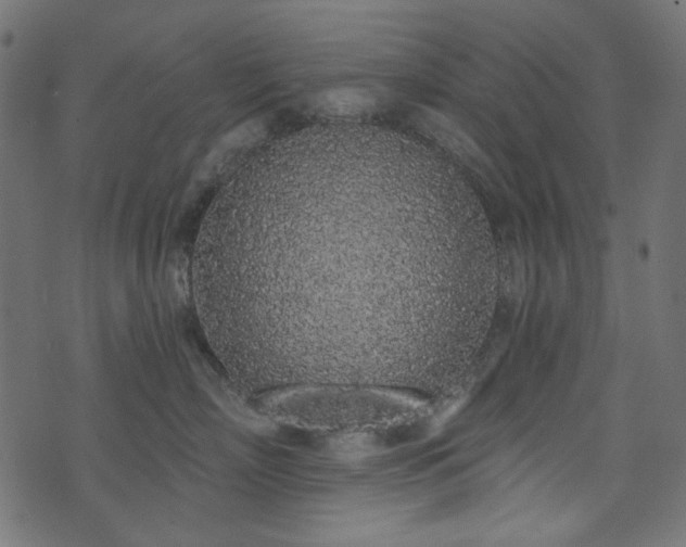 X0000071770718200606301155