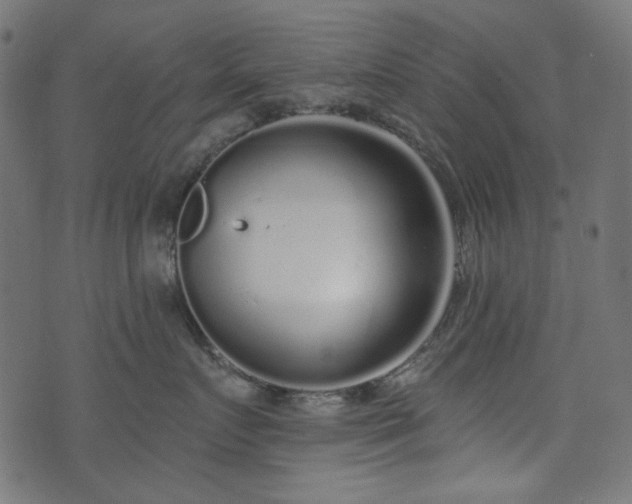 X0000071770719200606301155