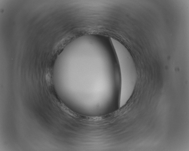 X0000071770720200606301155