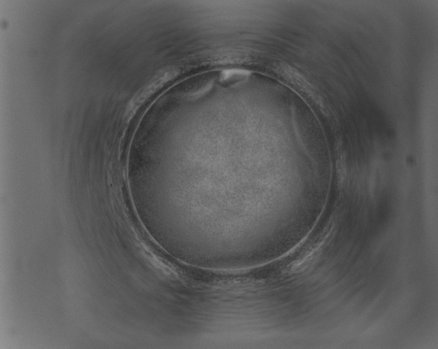 X0000071770721200606301154