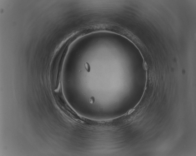 X0000071770722200606301154