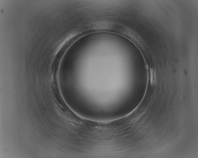 X0000071770723200606301154