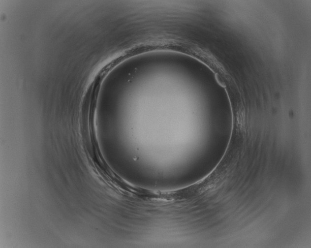 X0000071770724200606301154