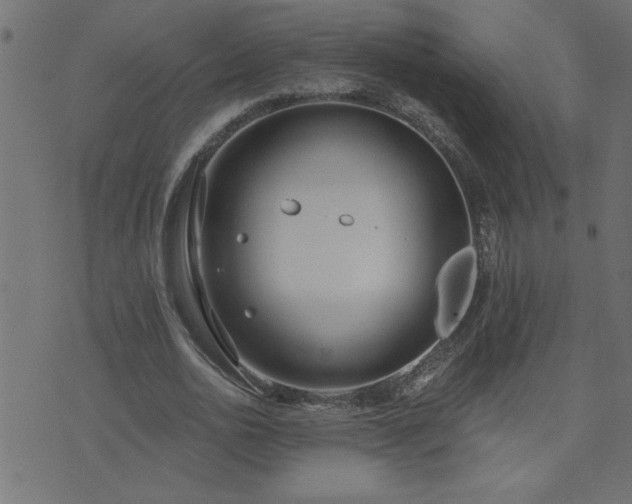 X0000071770726200606301154