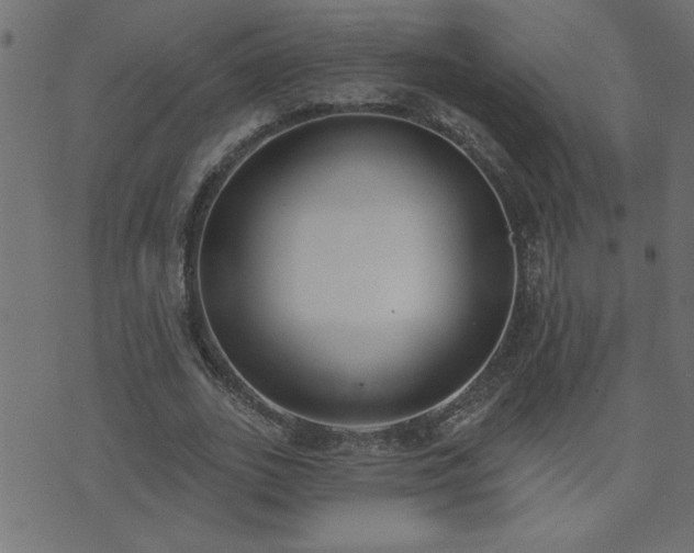 X0000071770727200606301154