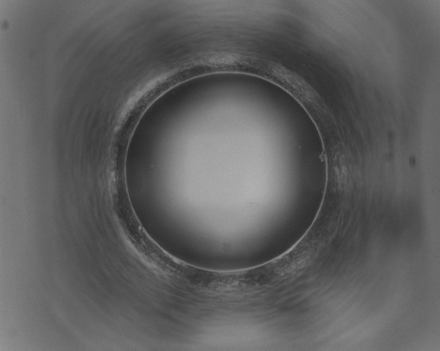 X0000071770728200606301154