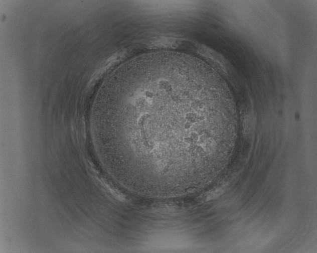 X0000071770729200606301154