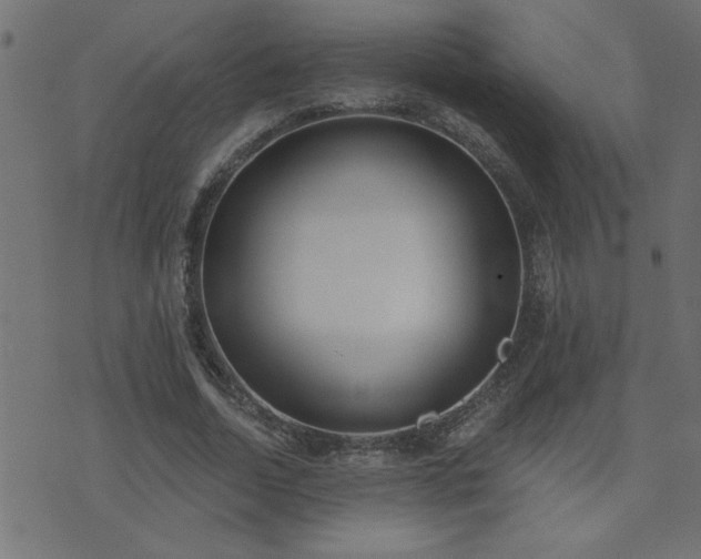 X0000071770730200606301154