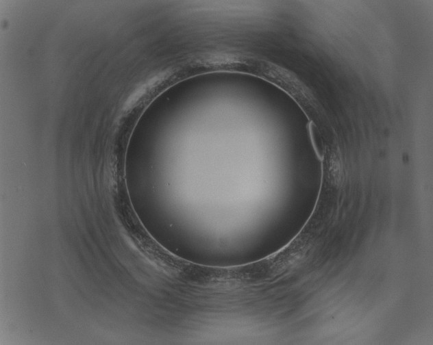 X0000071770732200606301154