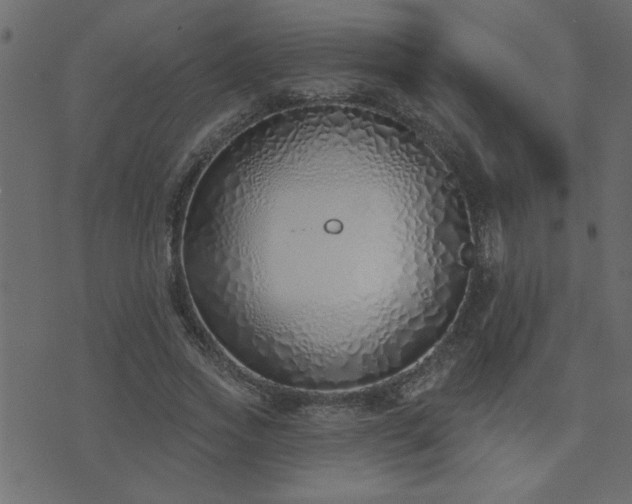 X0000071770733200606301154