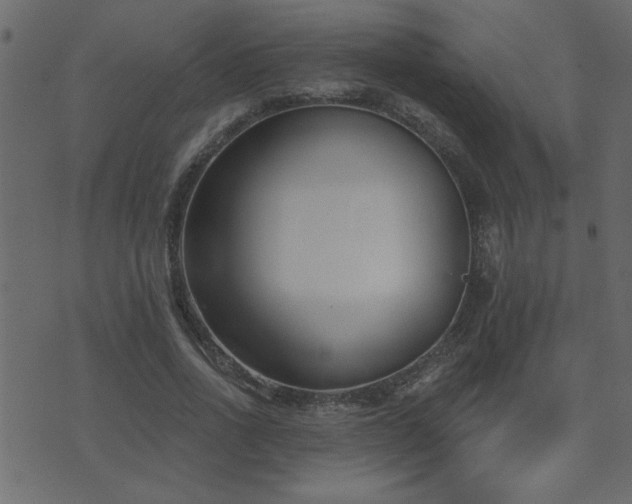 X0000071770734200606301154