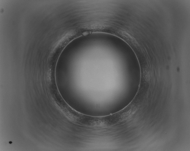 X0000071770735200606301154