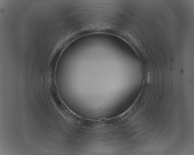 X0000071770736200606301154