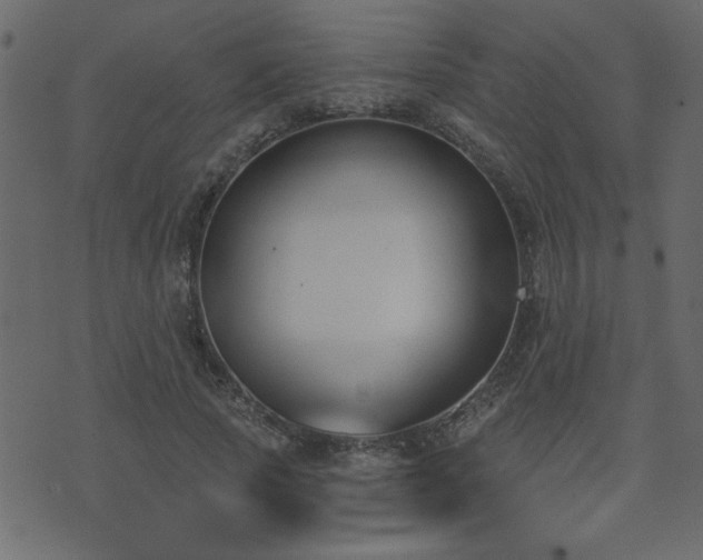 X0000071770737200606301155