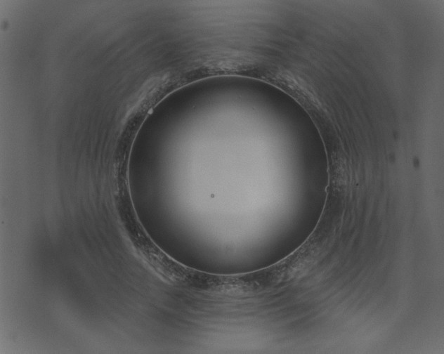 X0000071770738200606301155