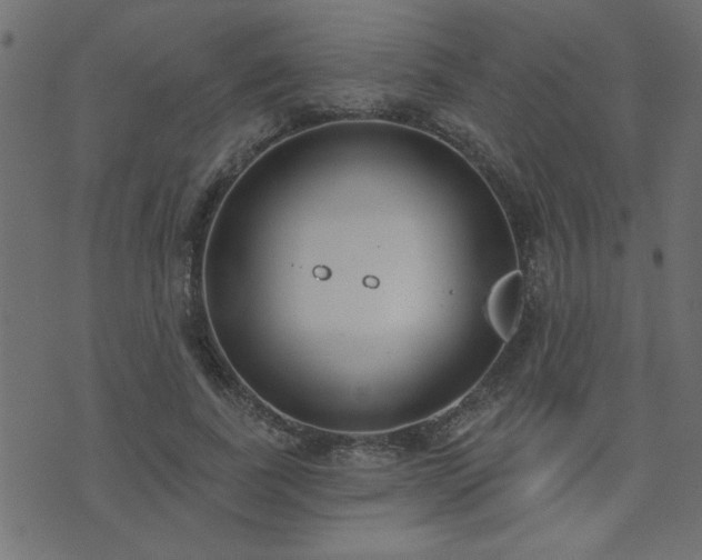 X0000071770739200606301155