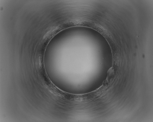 X0000071770740200606301155