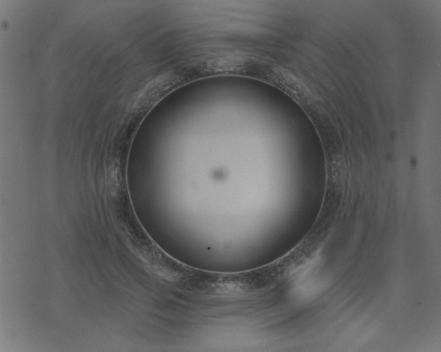 X0000071770741200606301155