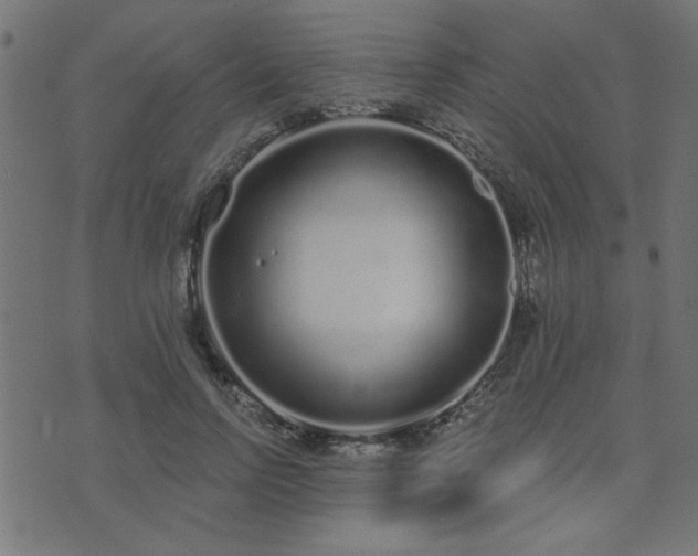 X0000071770742200606301155