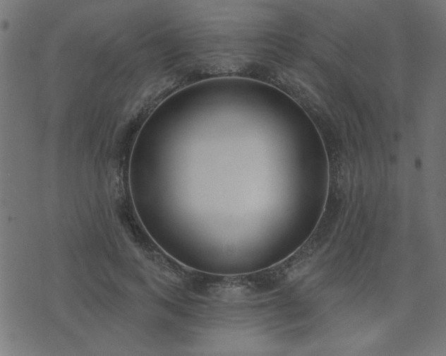 X0000071770743200606301155