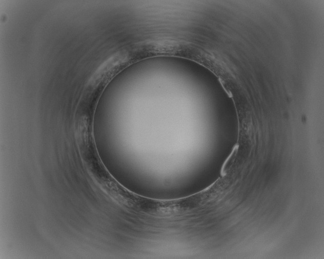 X0000071770744200606301155