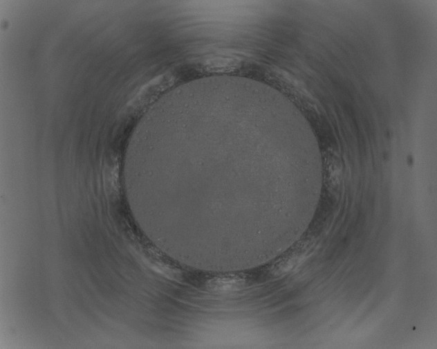 X0000071770745200606301155