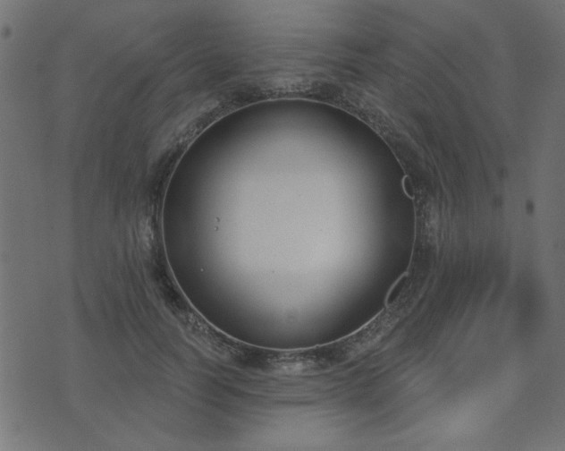 X0000071770746200606301155