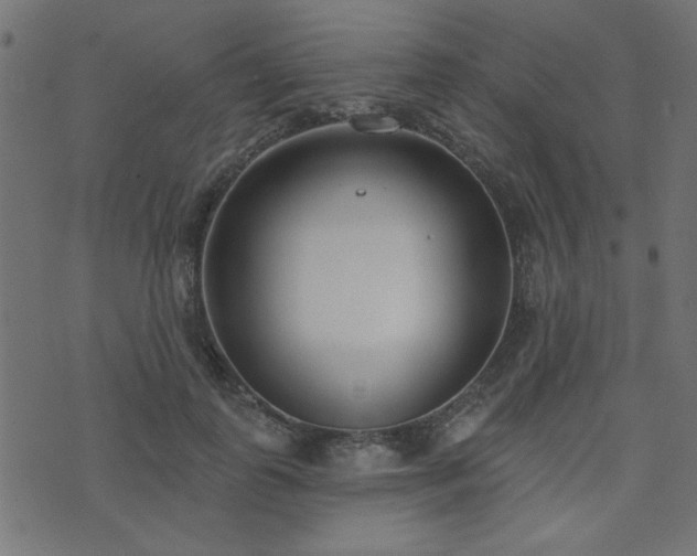 X0000071770747200606301155