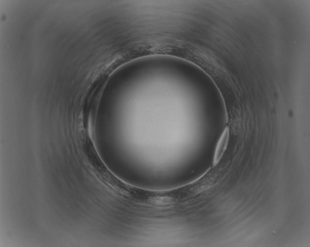 X0000071770748200606301155