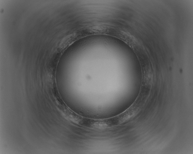 X0000071770749200606301155