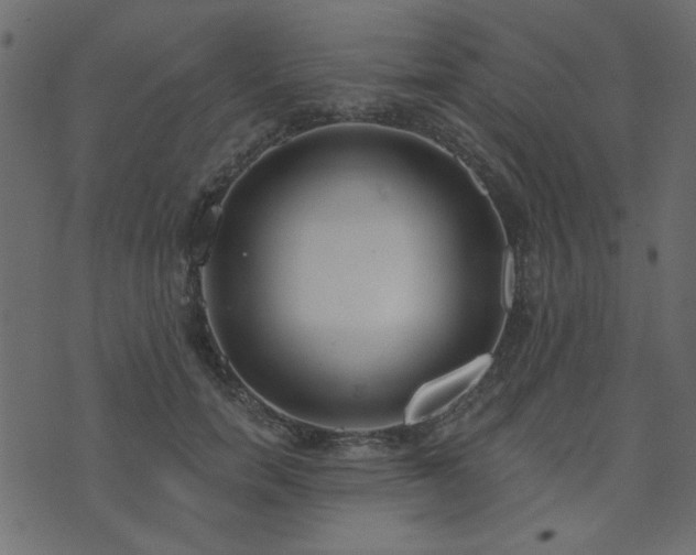 X0000071770750200606301155